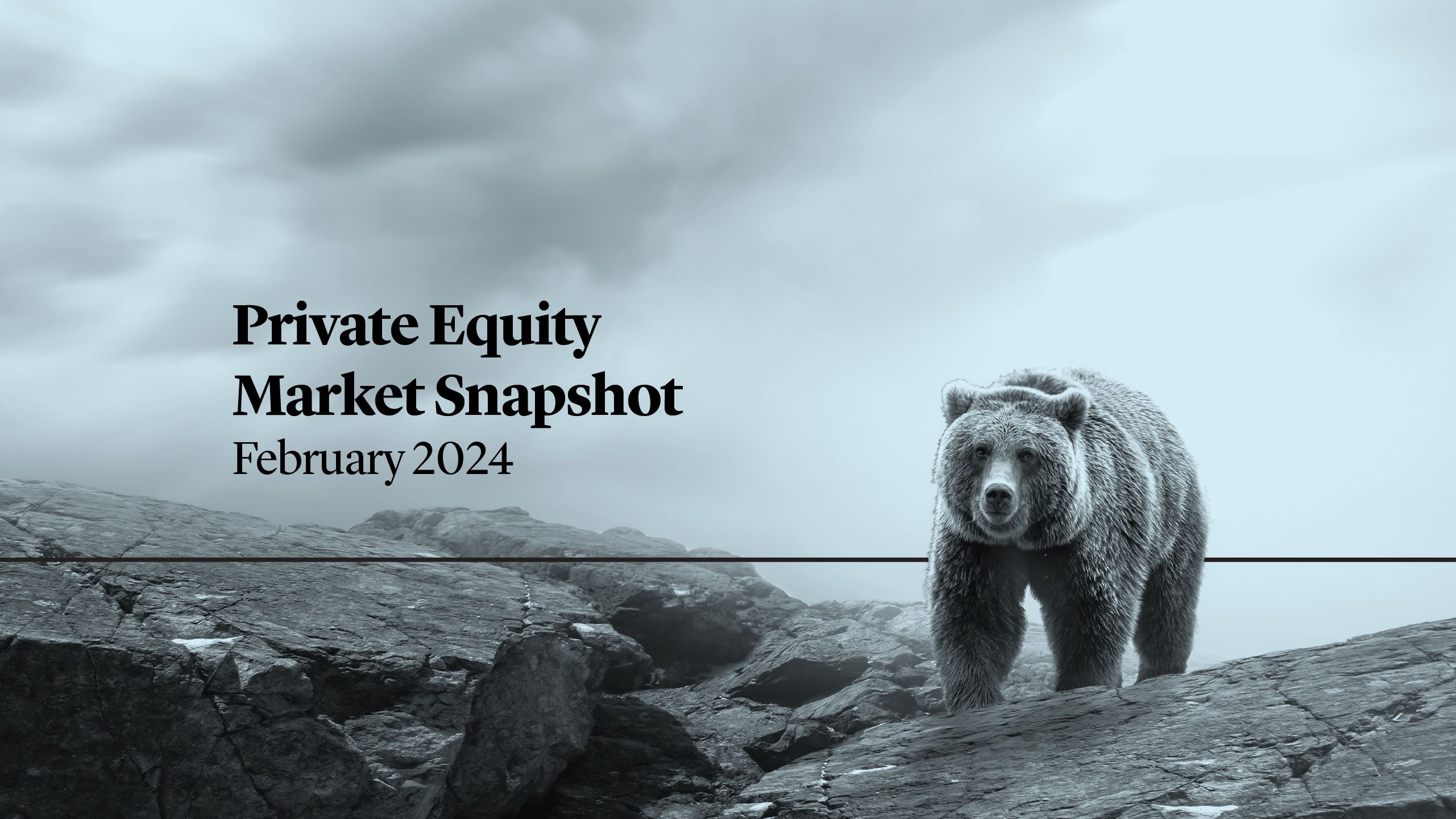 Cleary Gottlieb Private Equity Market Snapshot February