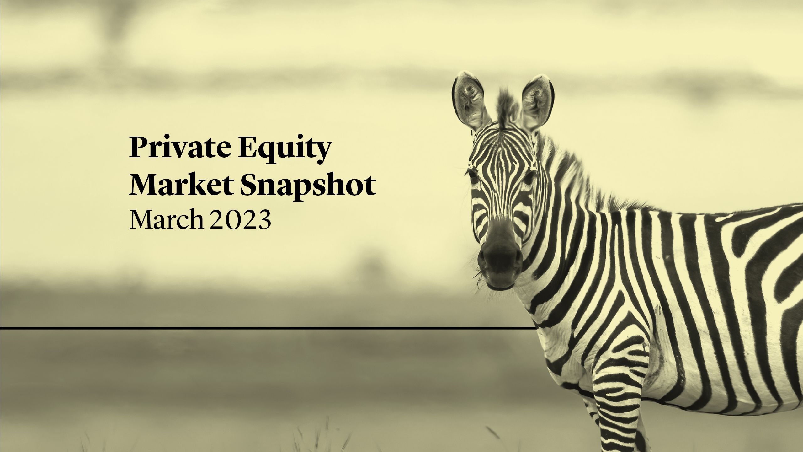 Cleary Gottlieb Private Equity Market Snapshot March