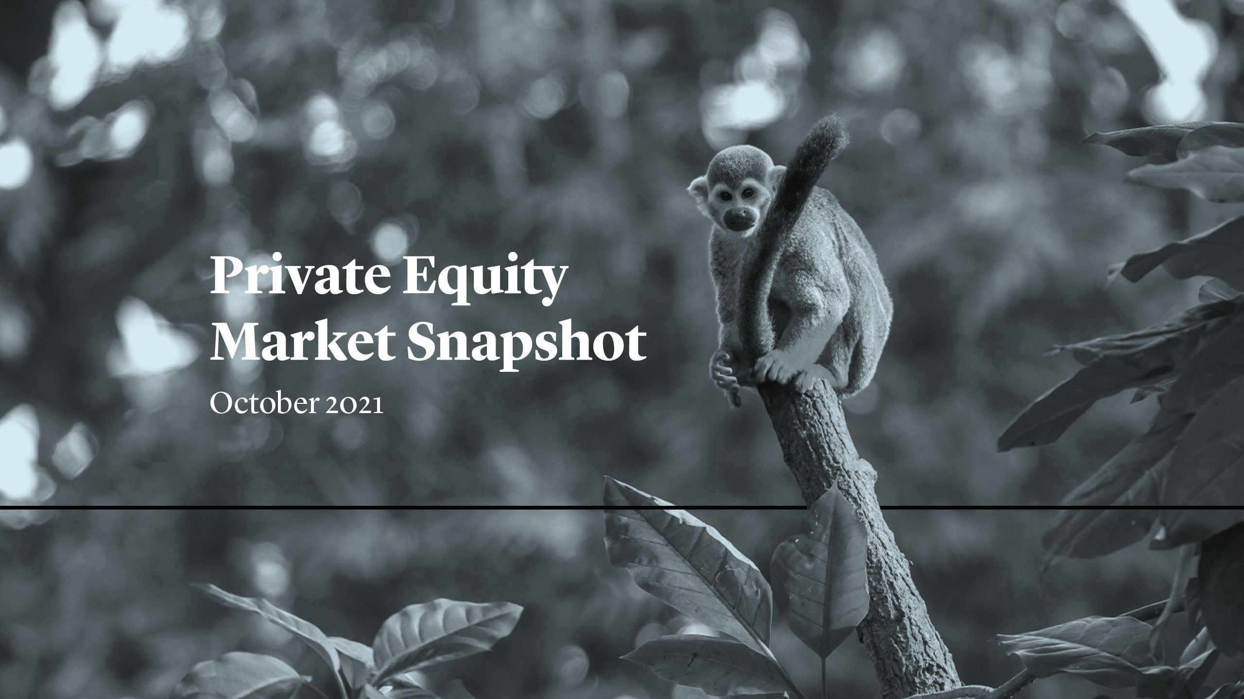 Cleary Gottlieb Private Equity Market Snapshot October