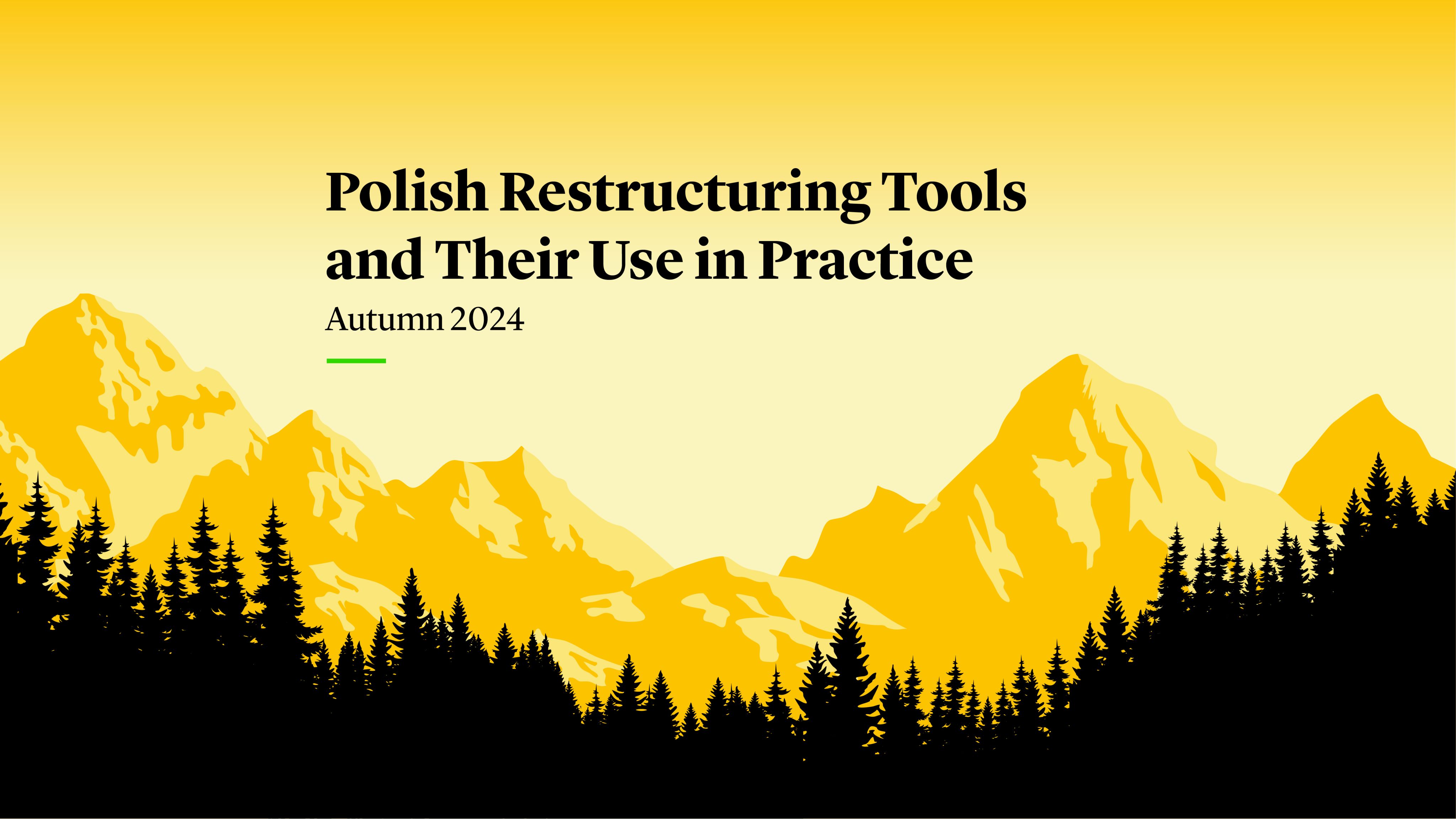 Polish Restructuring Tools and Their Use in Practice