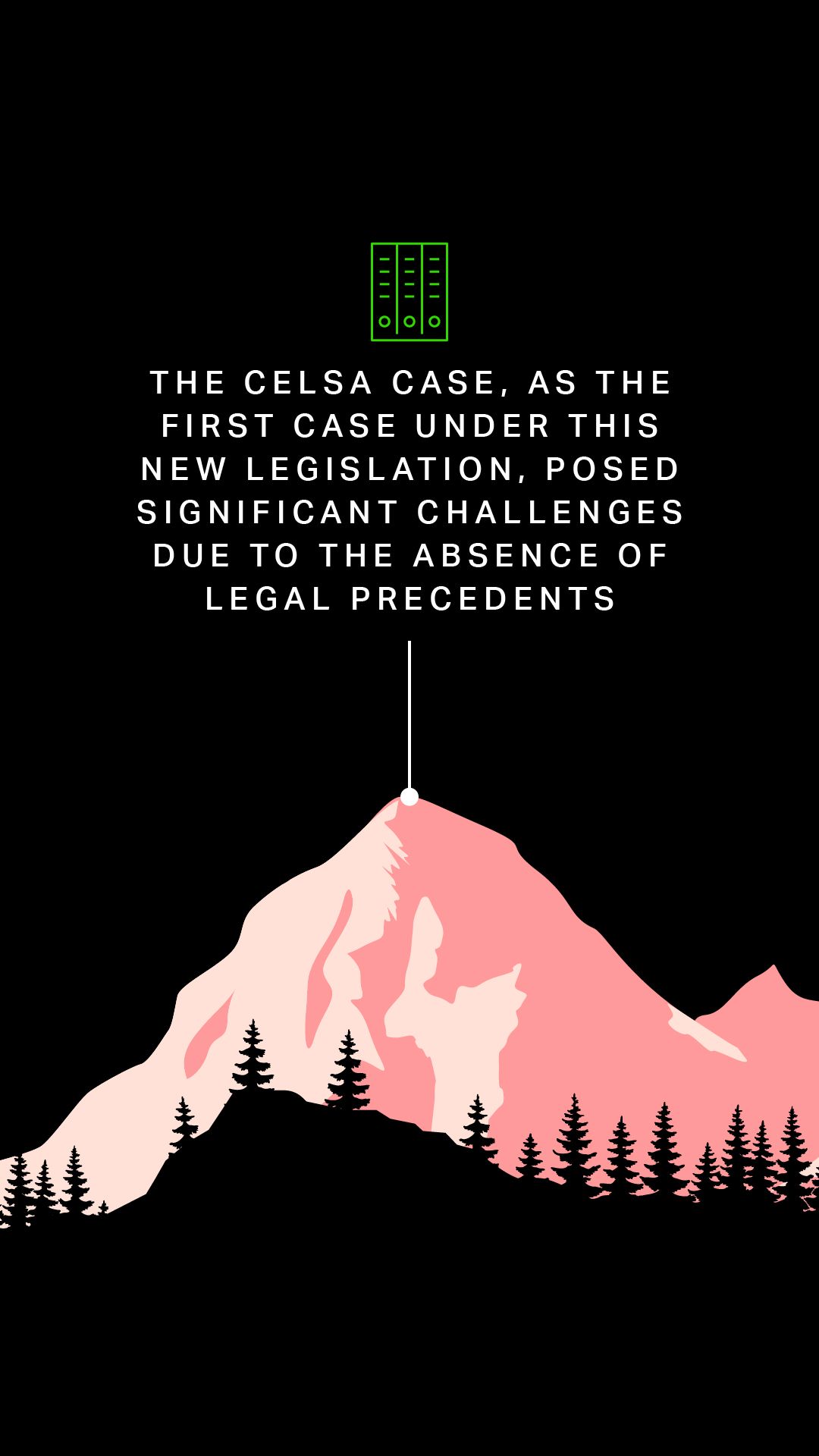 The Celsa case, as the first case under this new legislation, posed significant challenges due to the absence of legal precedents