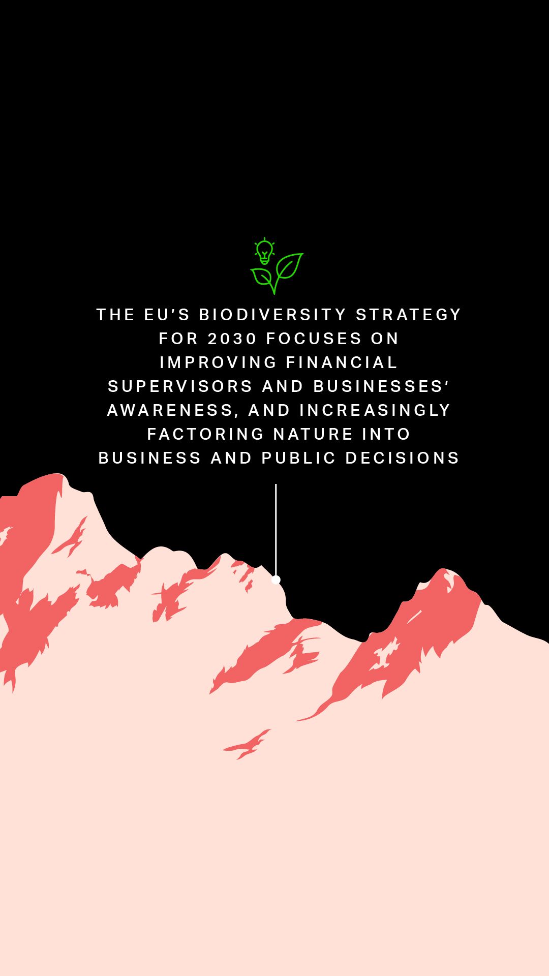 The EU’s Biodiversity Strategy for 2030 focuses on improving financial supervisors and businesses' awareness, and increasingly factoring nature into business and public decisions