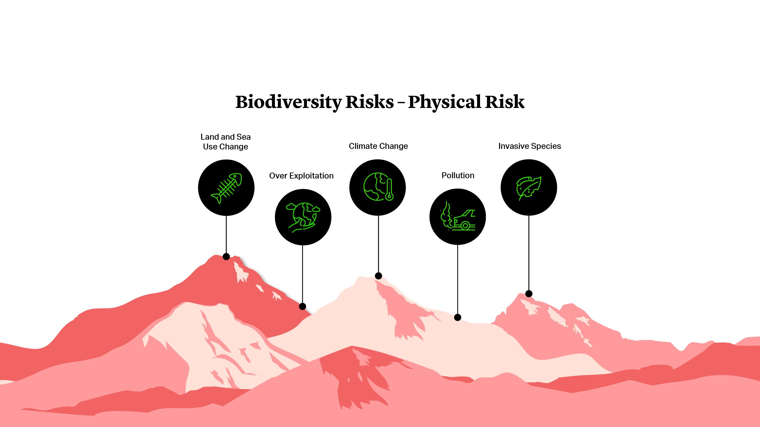 Biodiversity Risks - Physical Risk: Climate Change