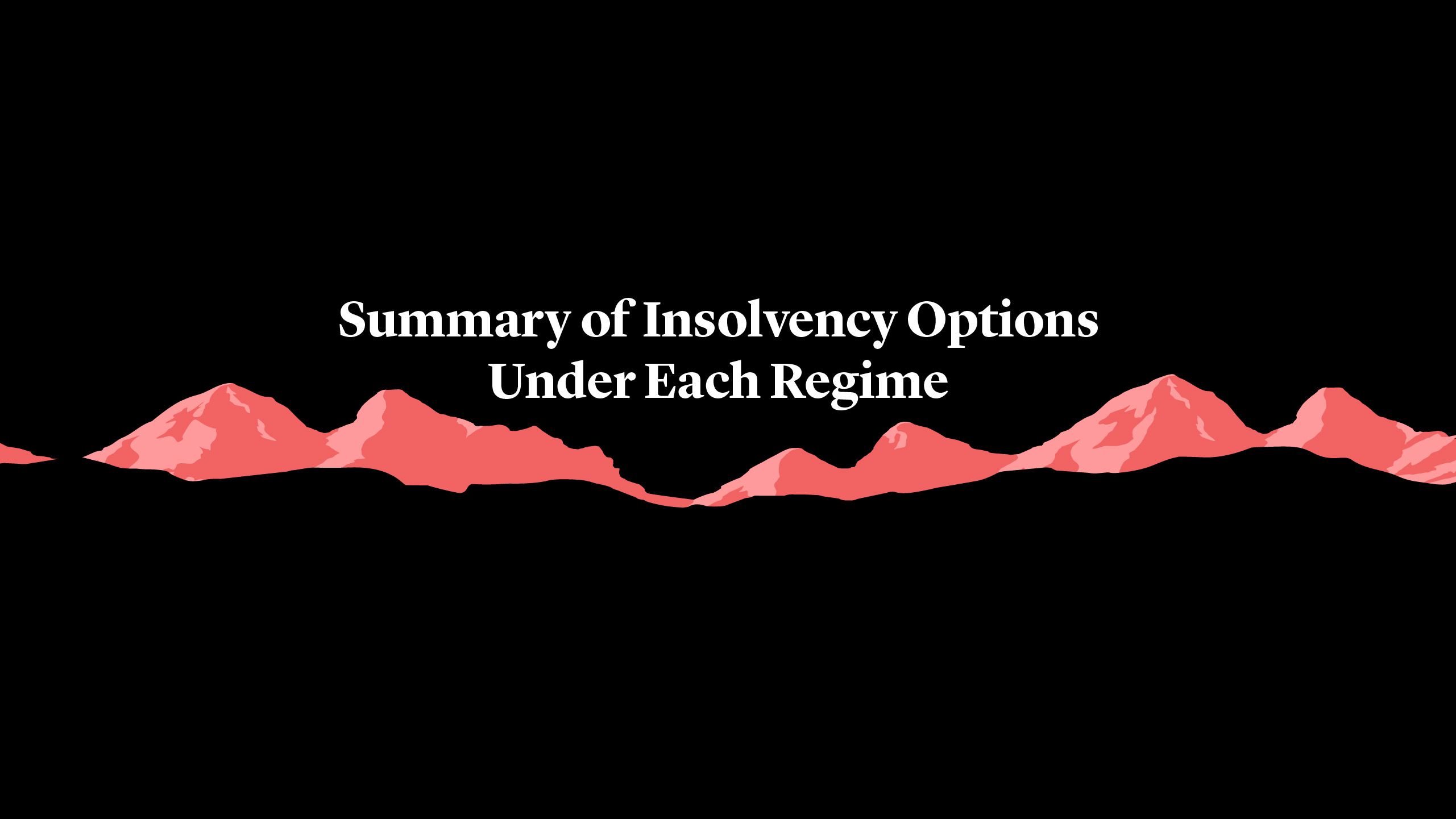Summary of Insolvency Options  Under Each Regime