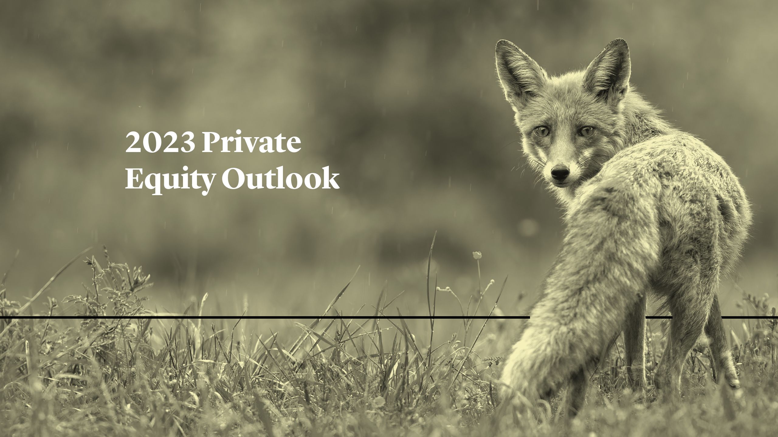 Cleary Gottlieb 2023 Private Equity Outlook