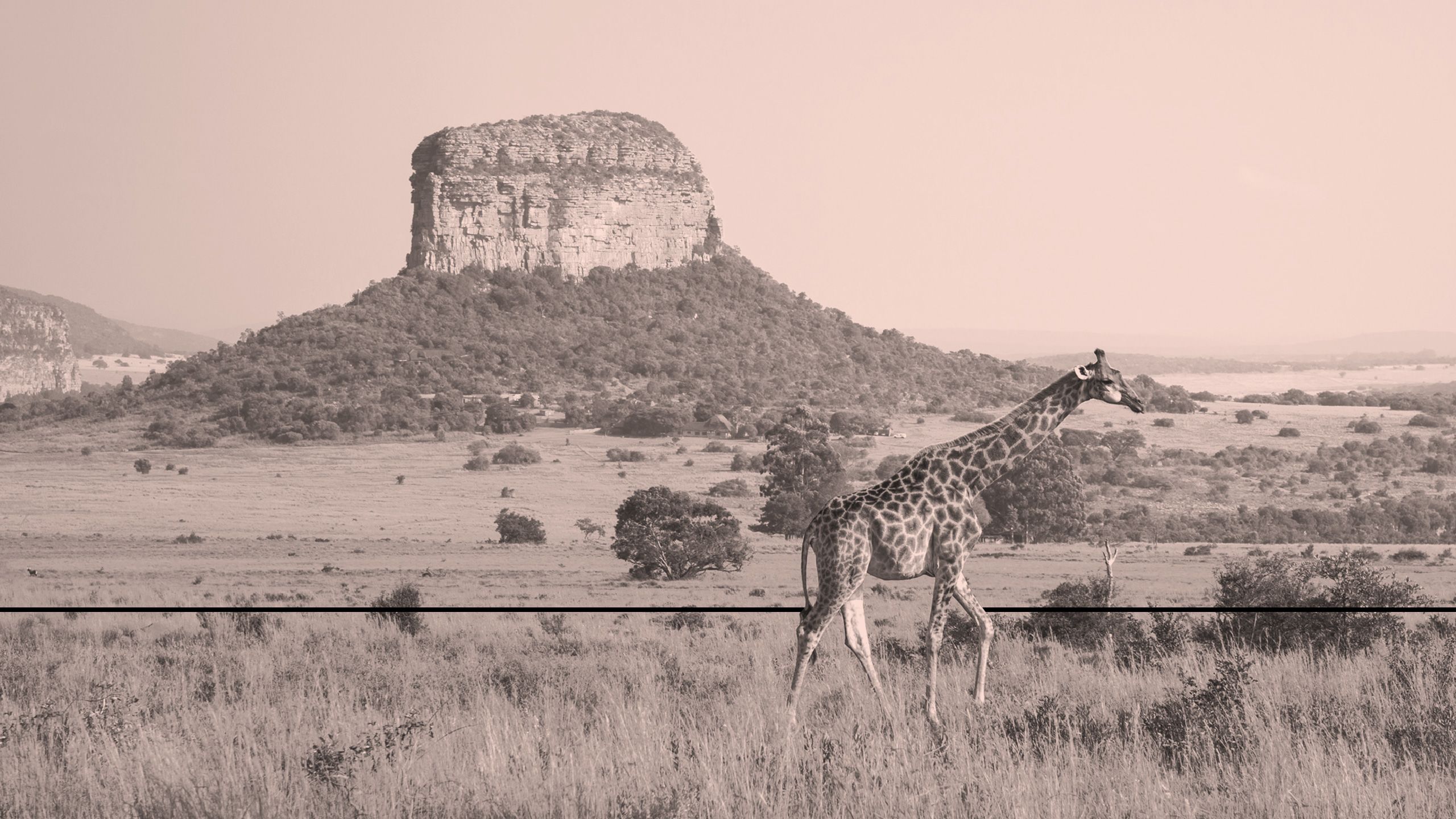 Adapting to Tariffs as Cautious Optimism Returns to Private Equity