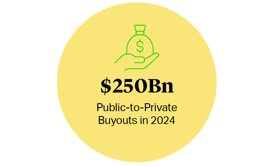Public-to-Private Buyouts in 2024