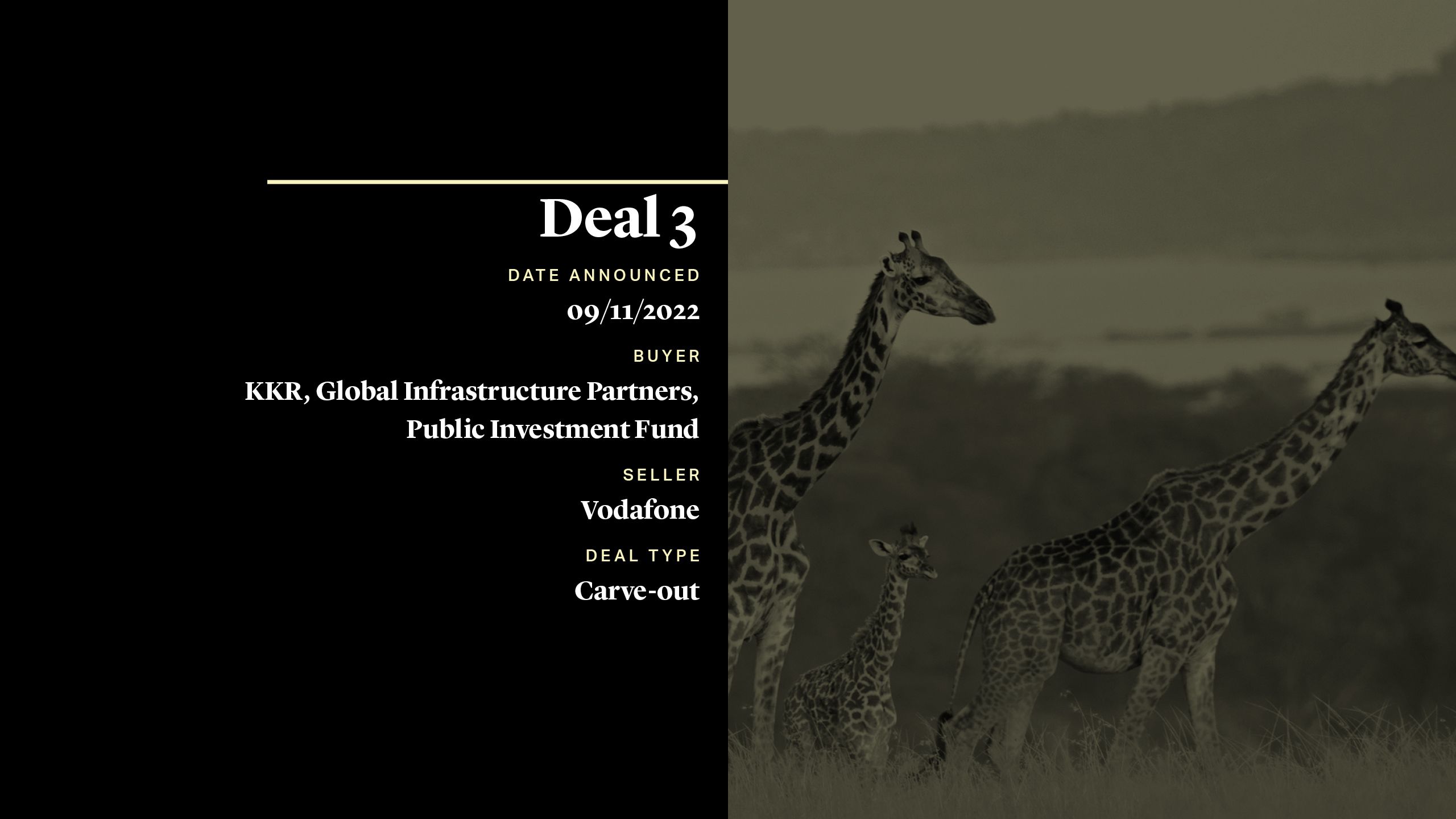 Private Equity Market Snapshot, 2022 Review, Vantage Towers