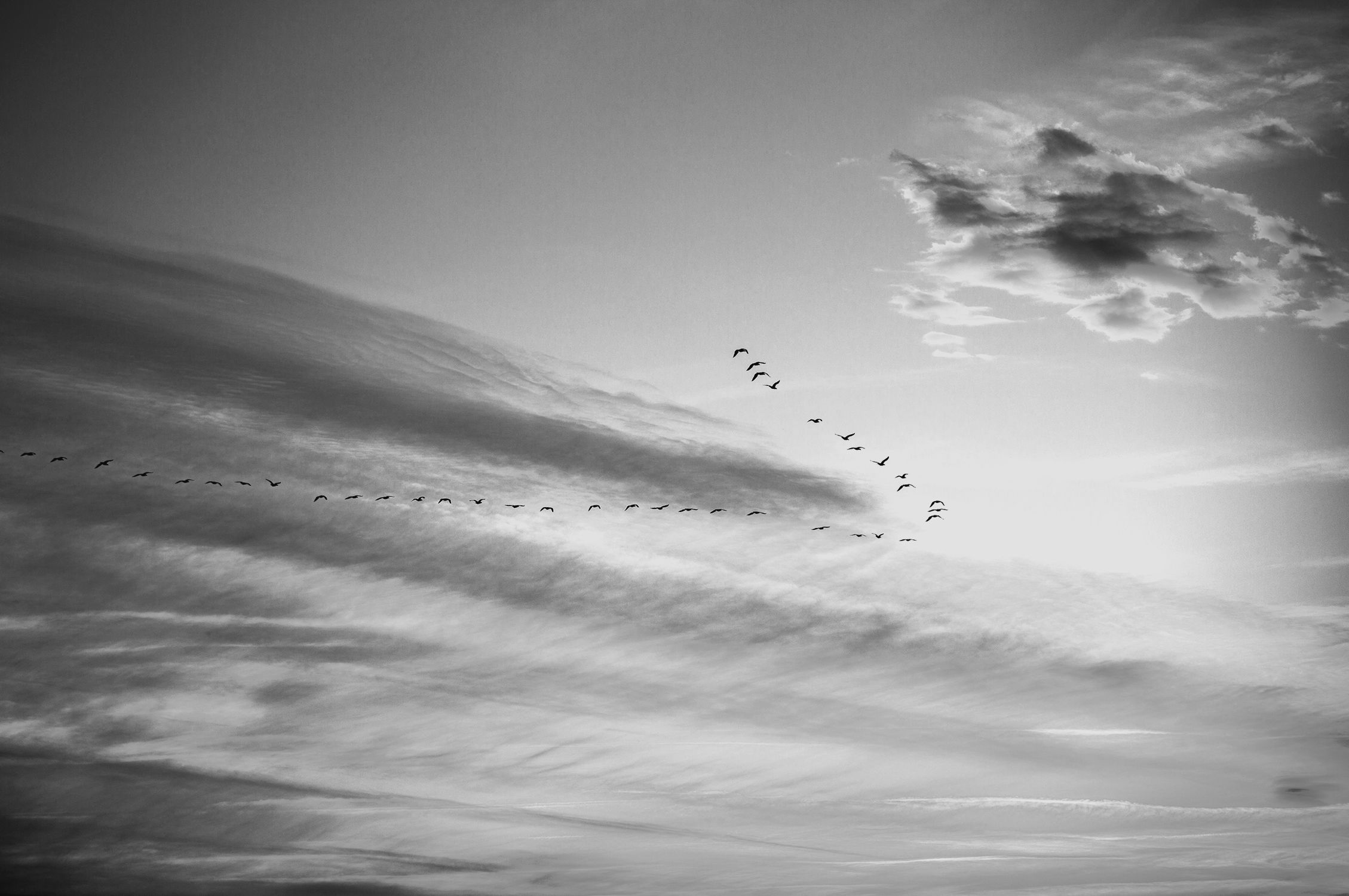 Cleary Gottlieb Private Equity Market Snapshot Silicon Valley Bank