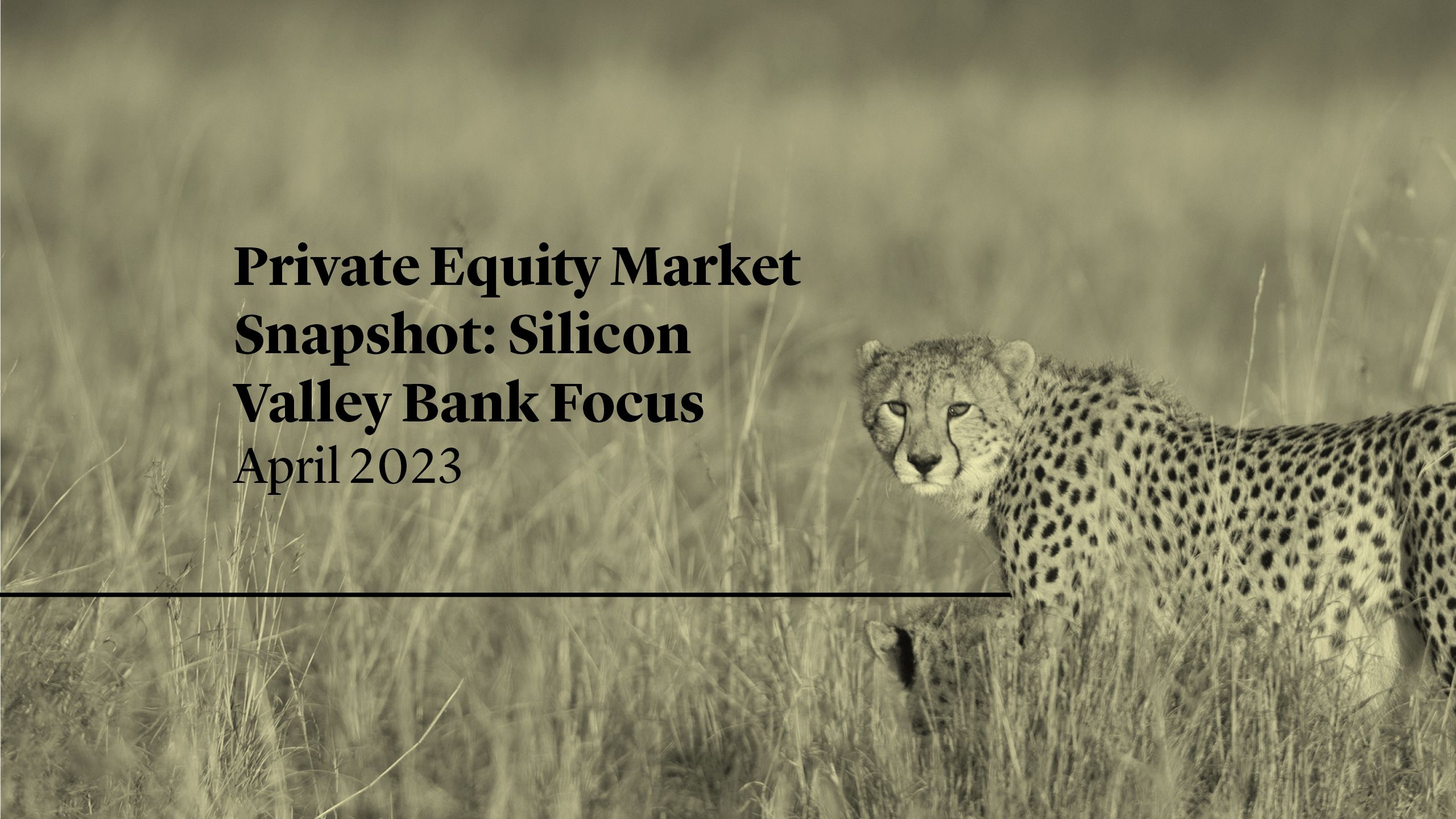 Cleary Gottlieb Private Equity Market Snapshot Silicon Valley Bank