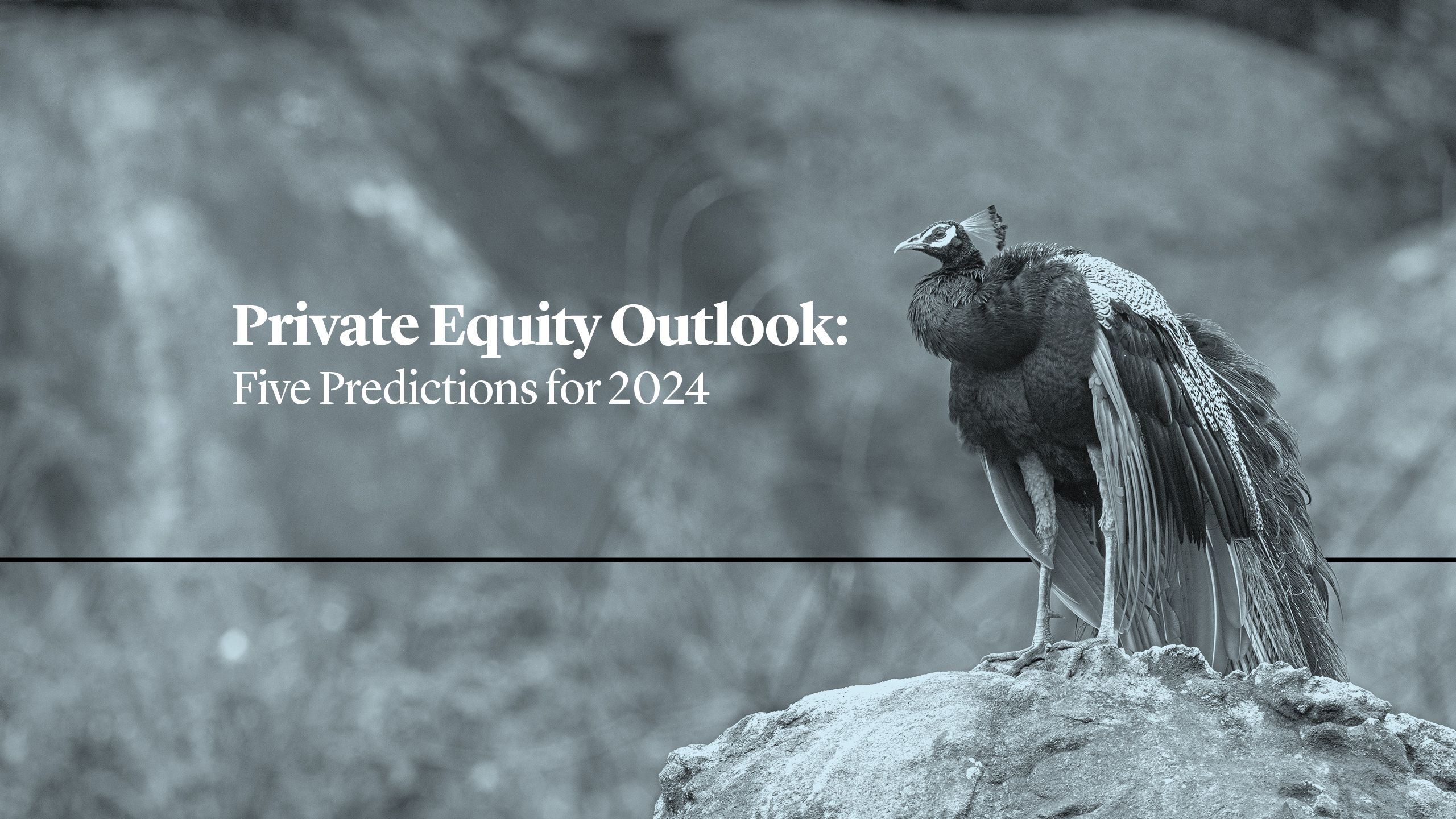 Cleary Gottlieb Private Equity Outlook Five Predictions For 2024   Header Outlook 2560x1440 