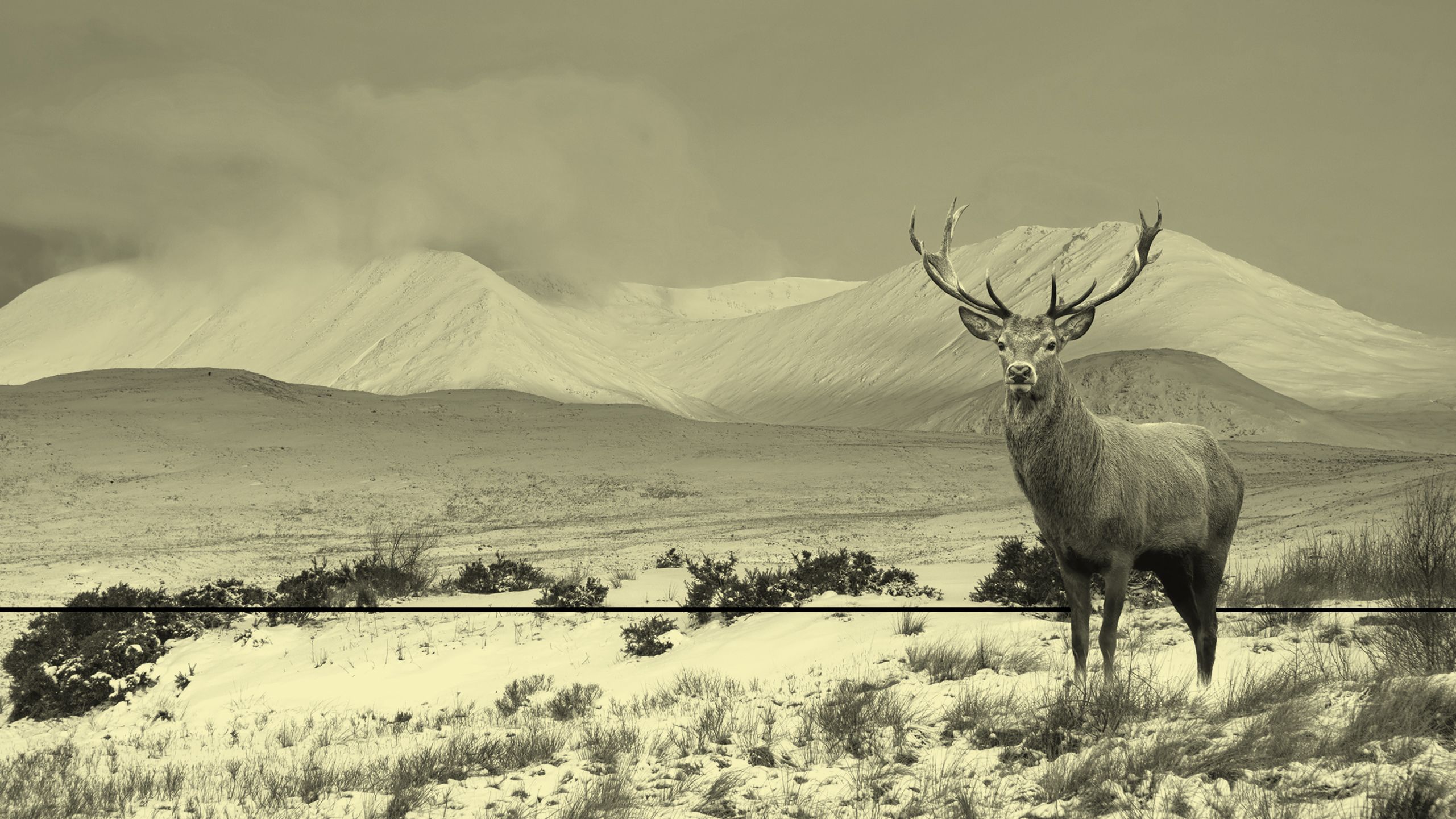 The Surge of Secondaries: A Market Positioned for Continued Growth