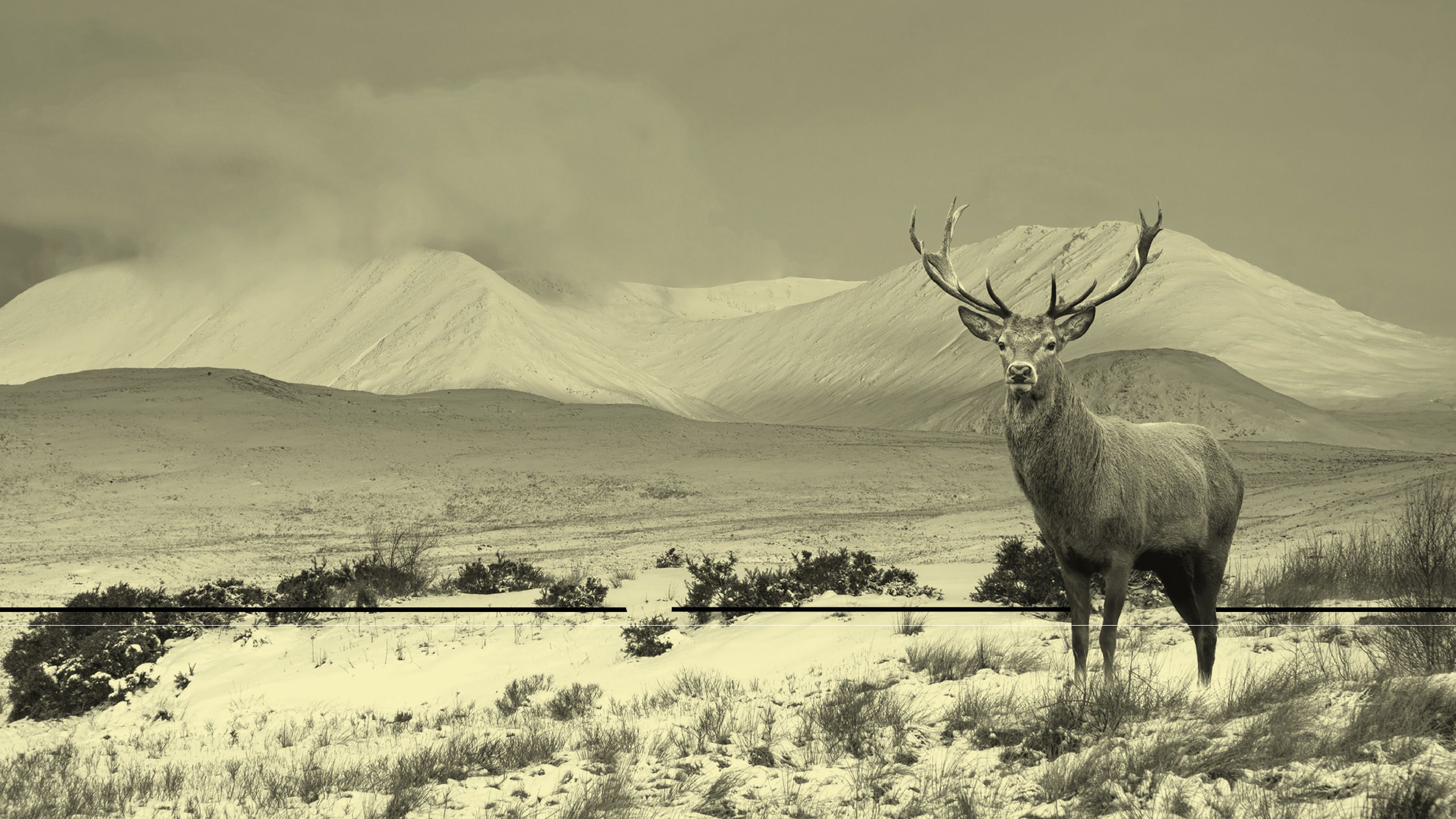 The Surge of Secondaries: A Market Positioned for Continued Growth