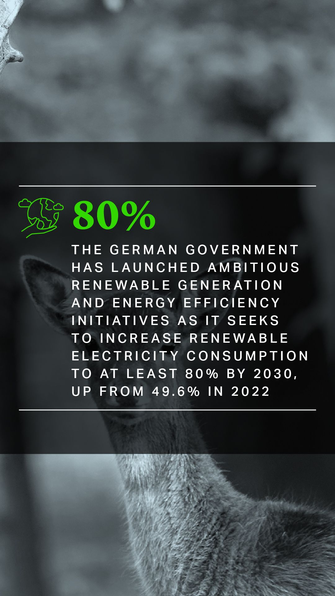 The German government has launched ambitious renewable generation and energy efficiency initiatives as it seeks to increase renewable electricity consumption to at least 80% by 2030, up from 49.6% in 2022