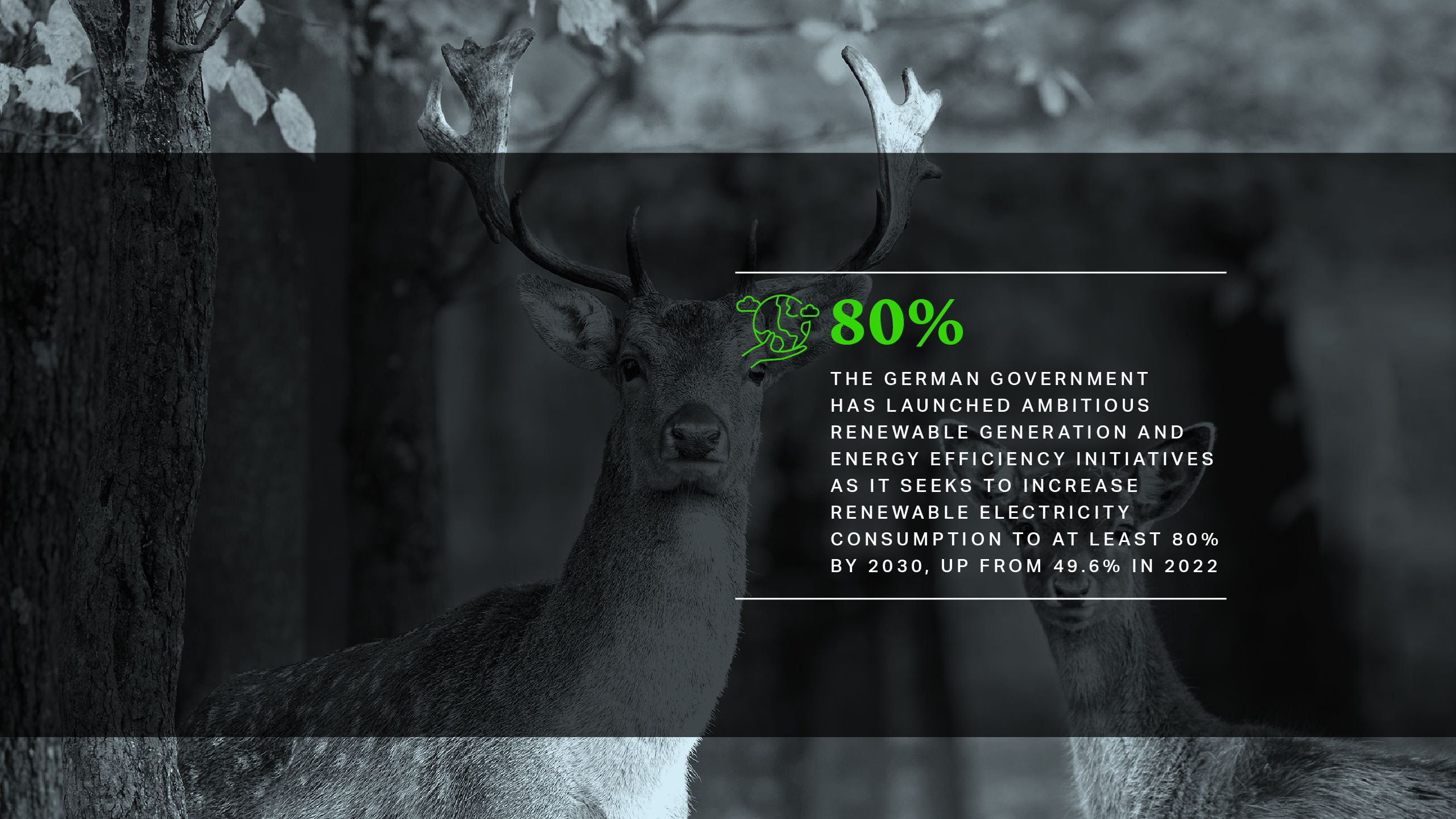 The German government has launched ambitious renewable generation and energy efficiency initiatives as it seeks to increase renewable electricity consumption to at least 80% by 2030, up from 49.6% in 2022