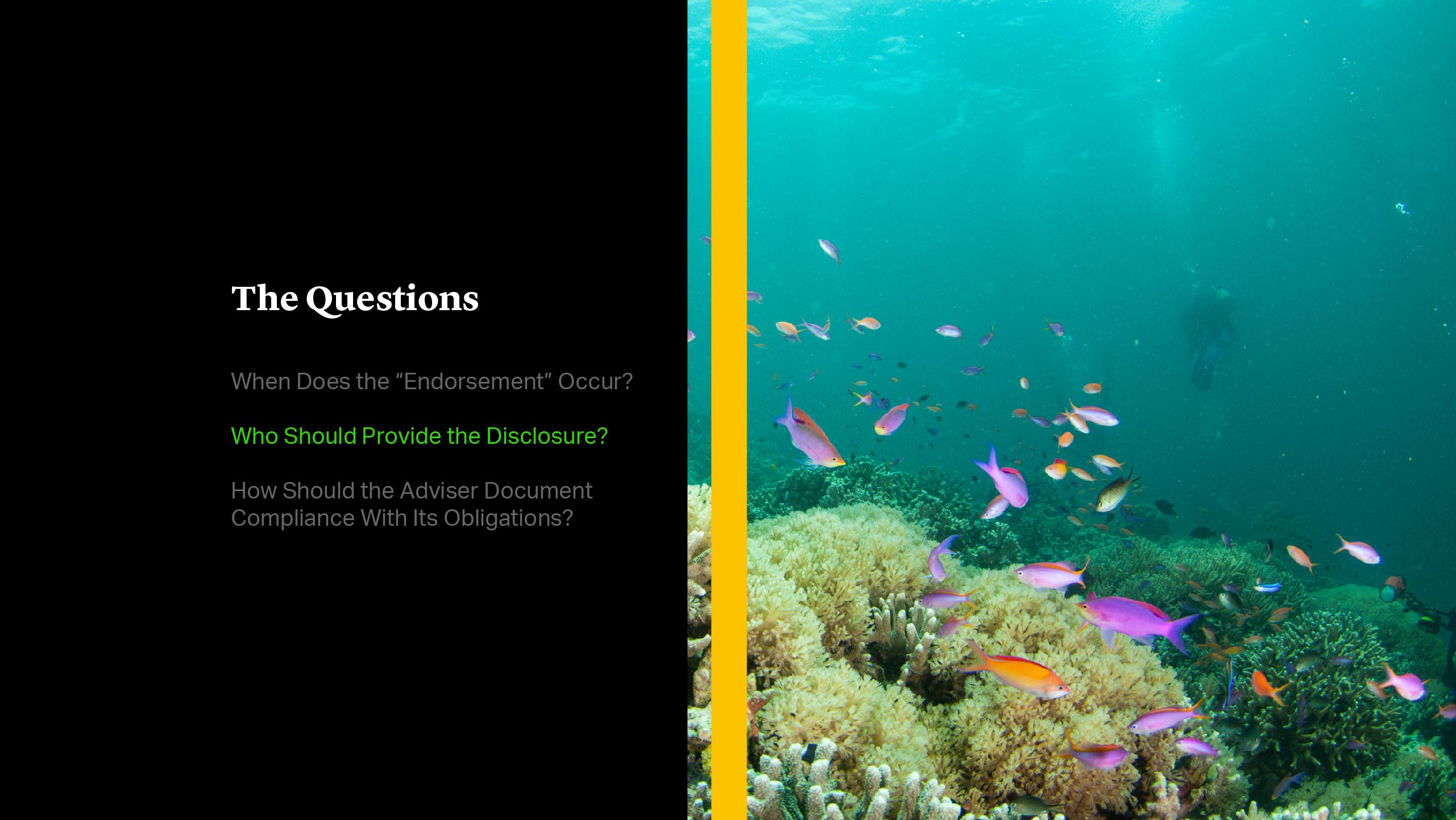 Who Should Provide the Disclosure?