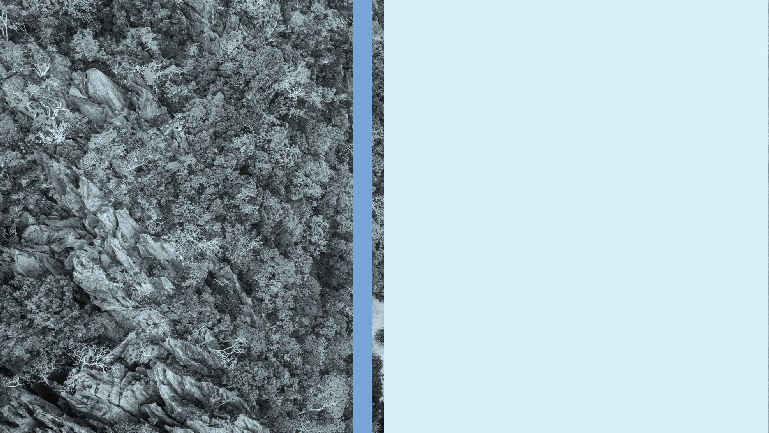 Top Investor Concerns 