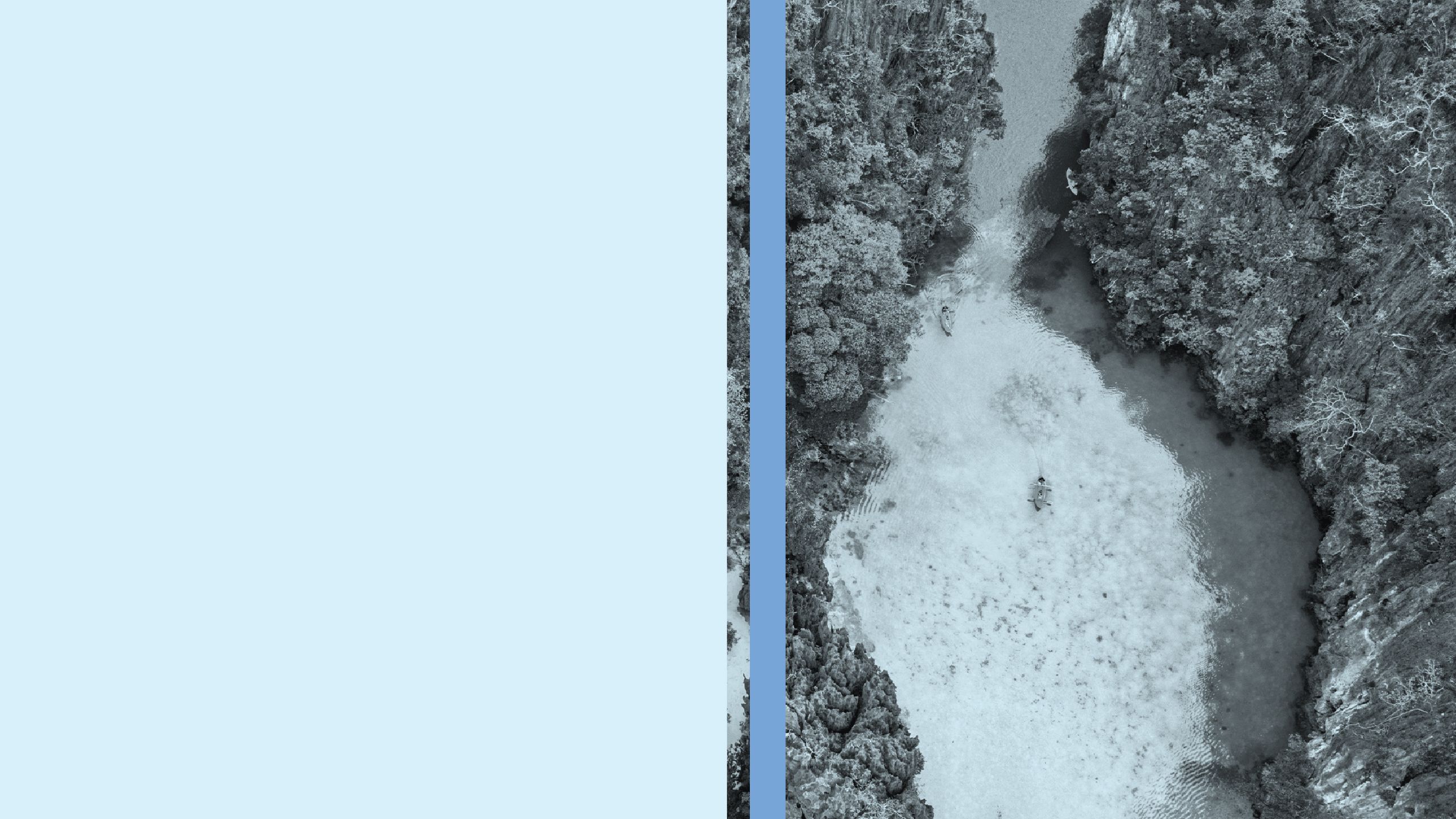 Top Investor Concerns 