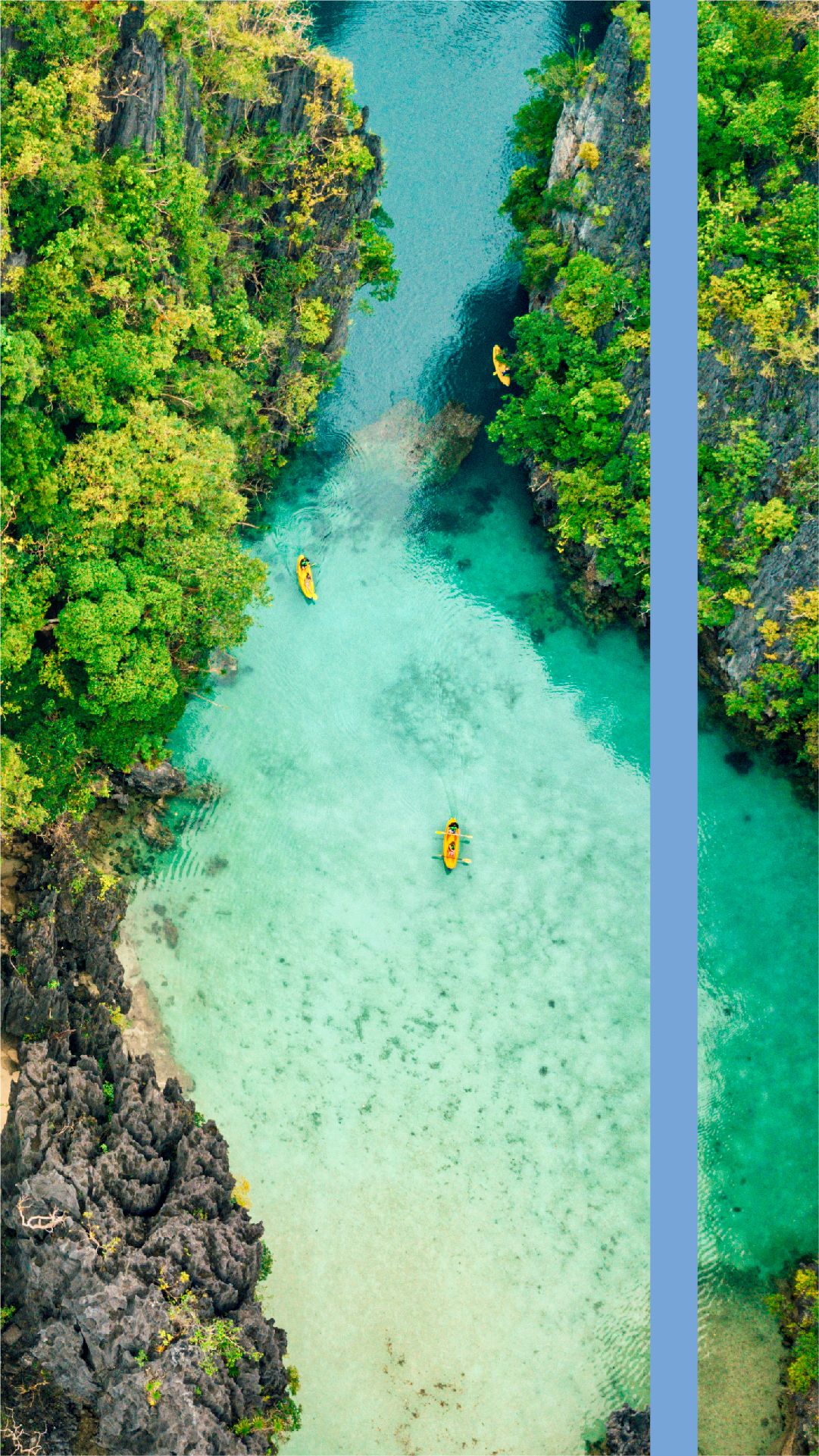 Top Investor Concerns