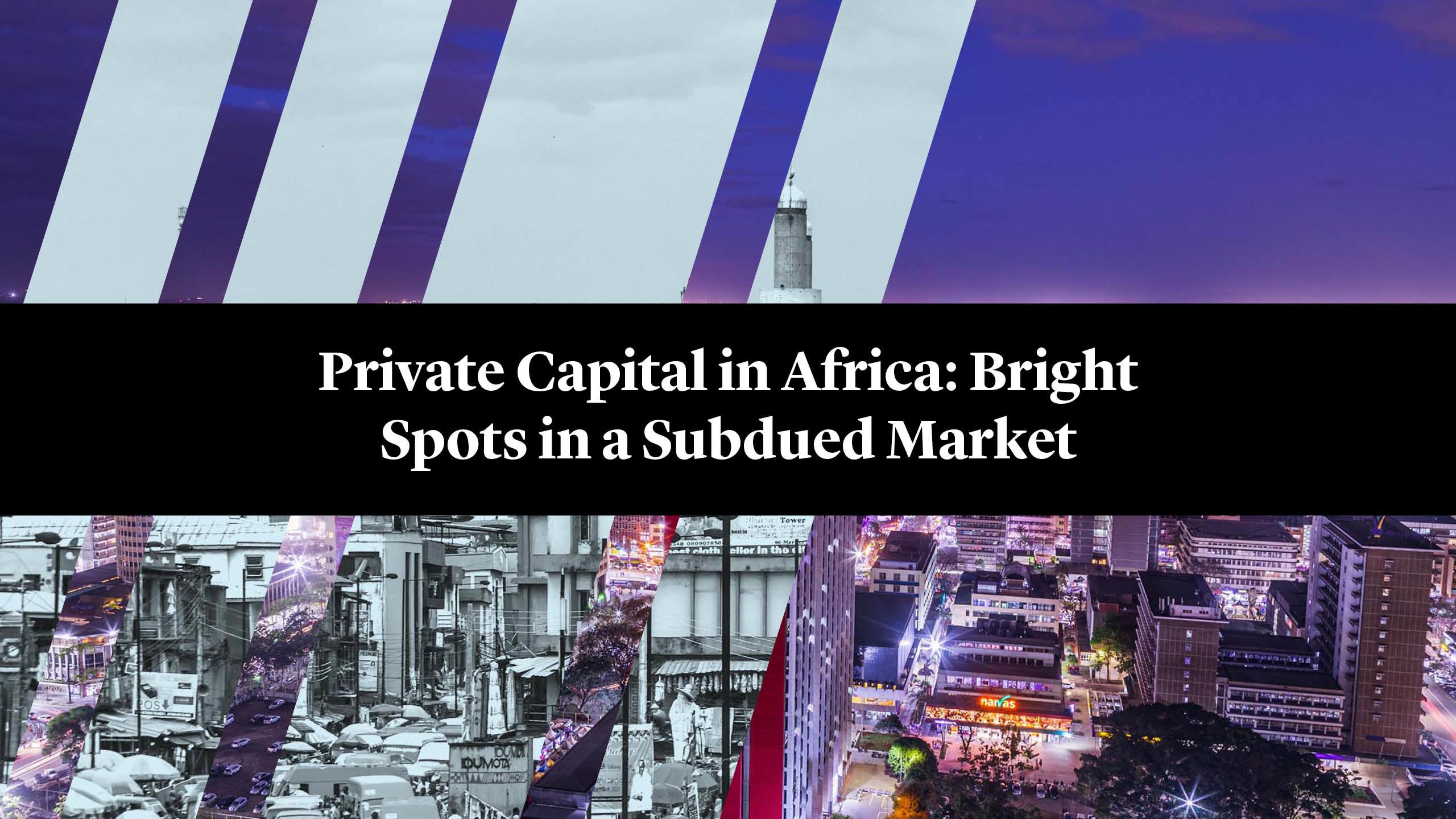 Private Capital in Africa: Bright Spots in a Subdued Market