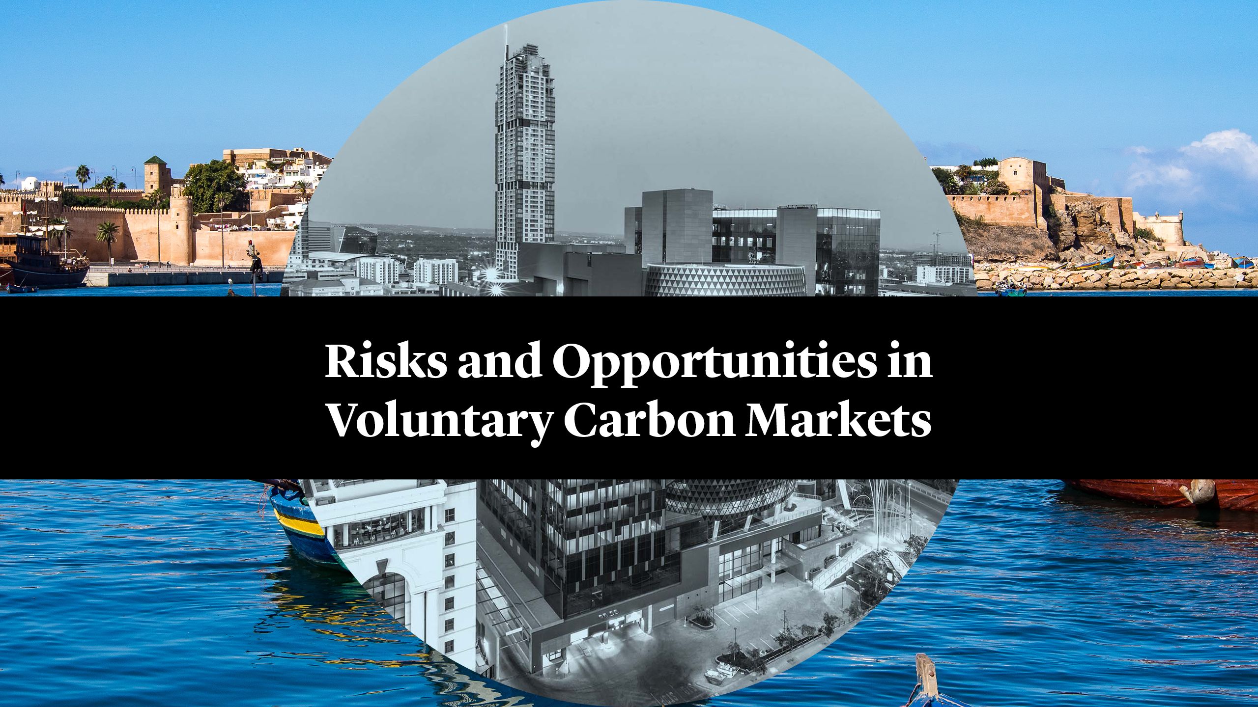 Risks and Opportunities in Voluntary Carbon Markets