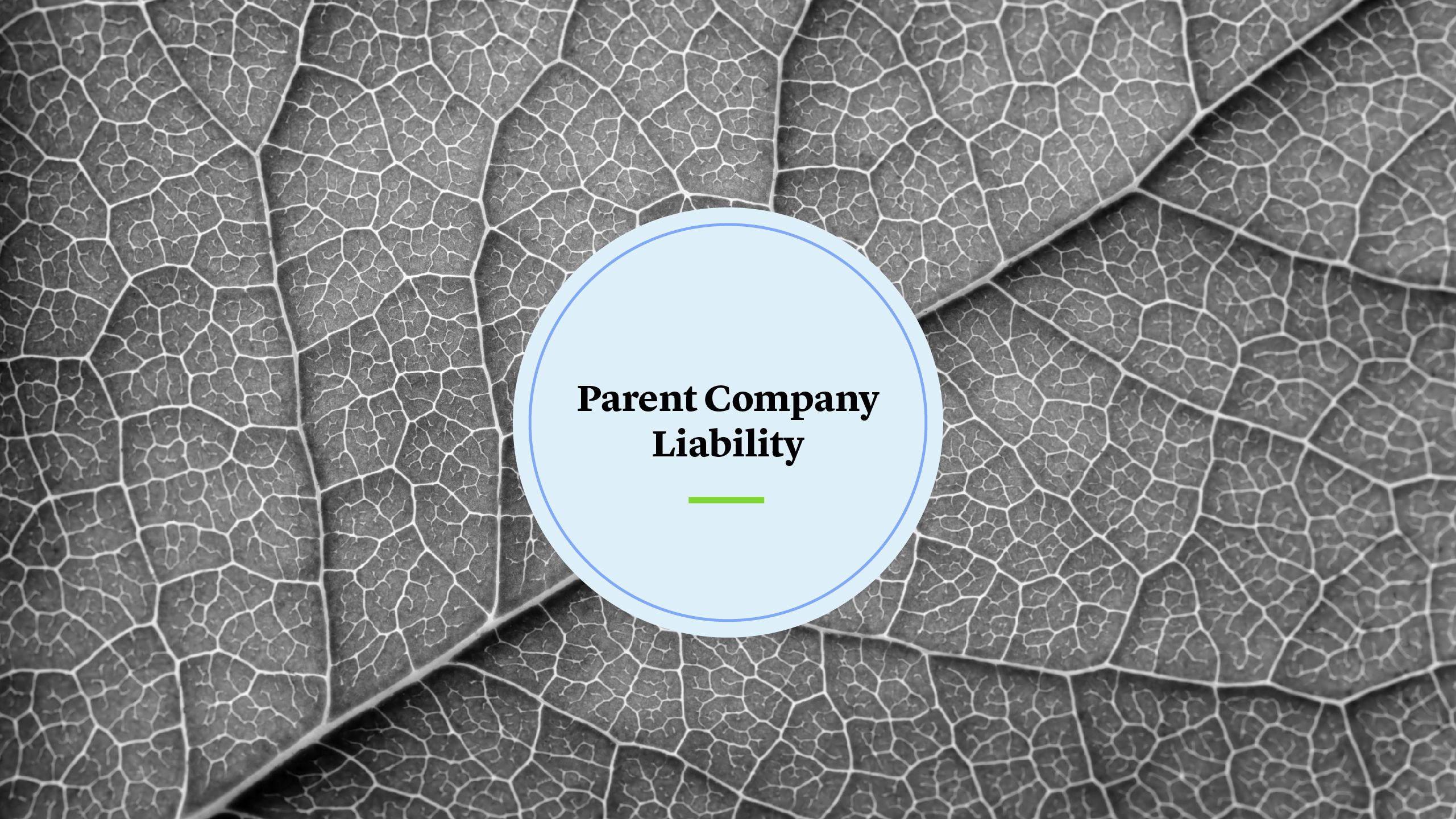 Parent Company Liability