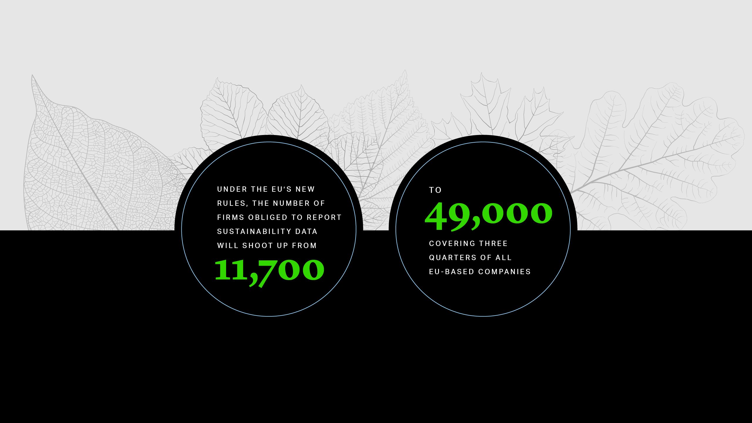 Under the EU’s new rules, the number of firms obliged to report sustainability data will shoot up from 11,700 to 49,000 covering three quarters of all EU-based companies