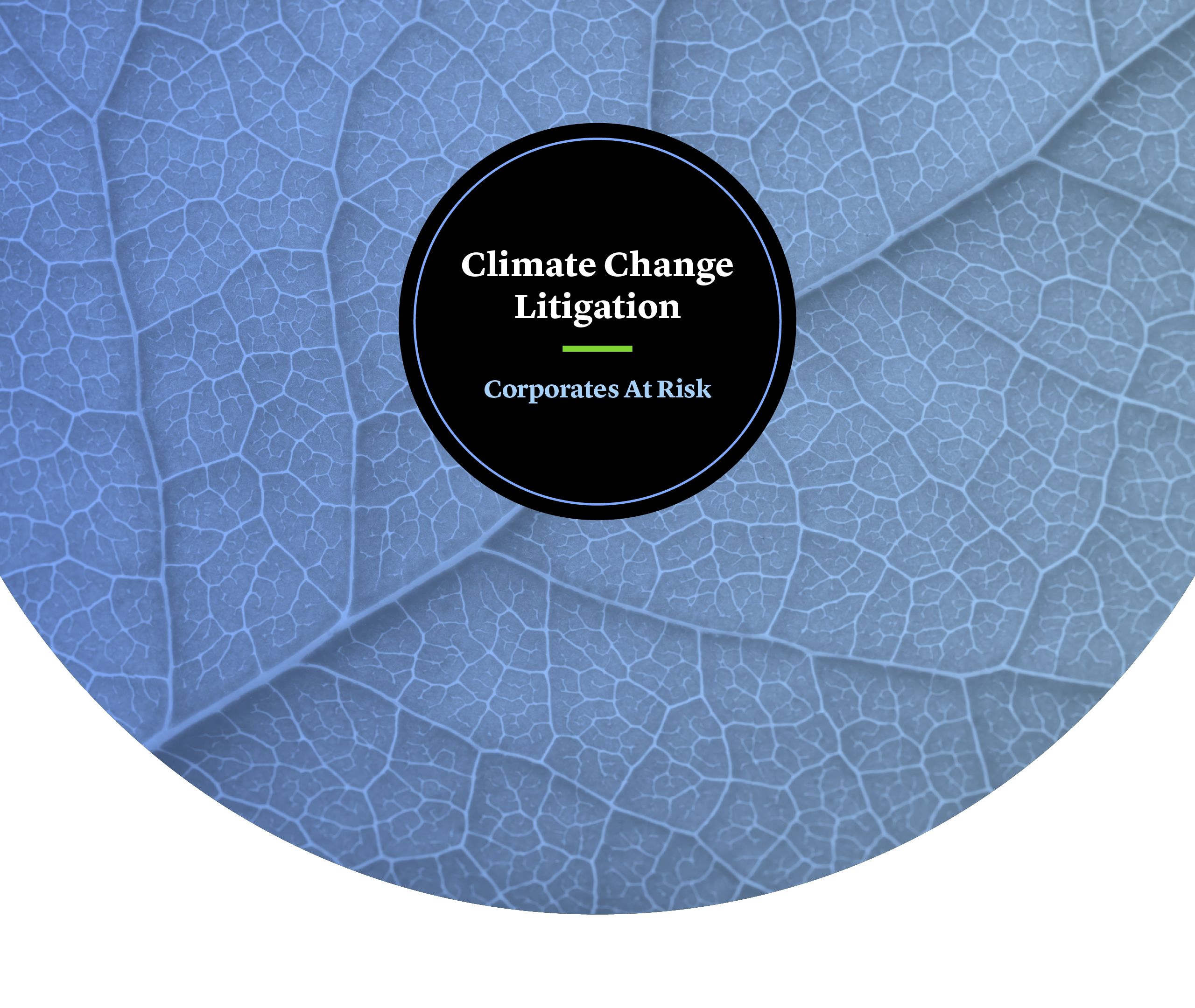Climate Change Litigation: Corporate and Board Members At Risk
