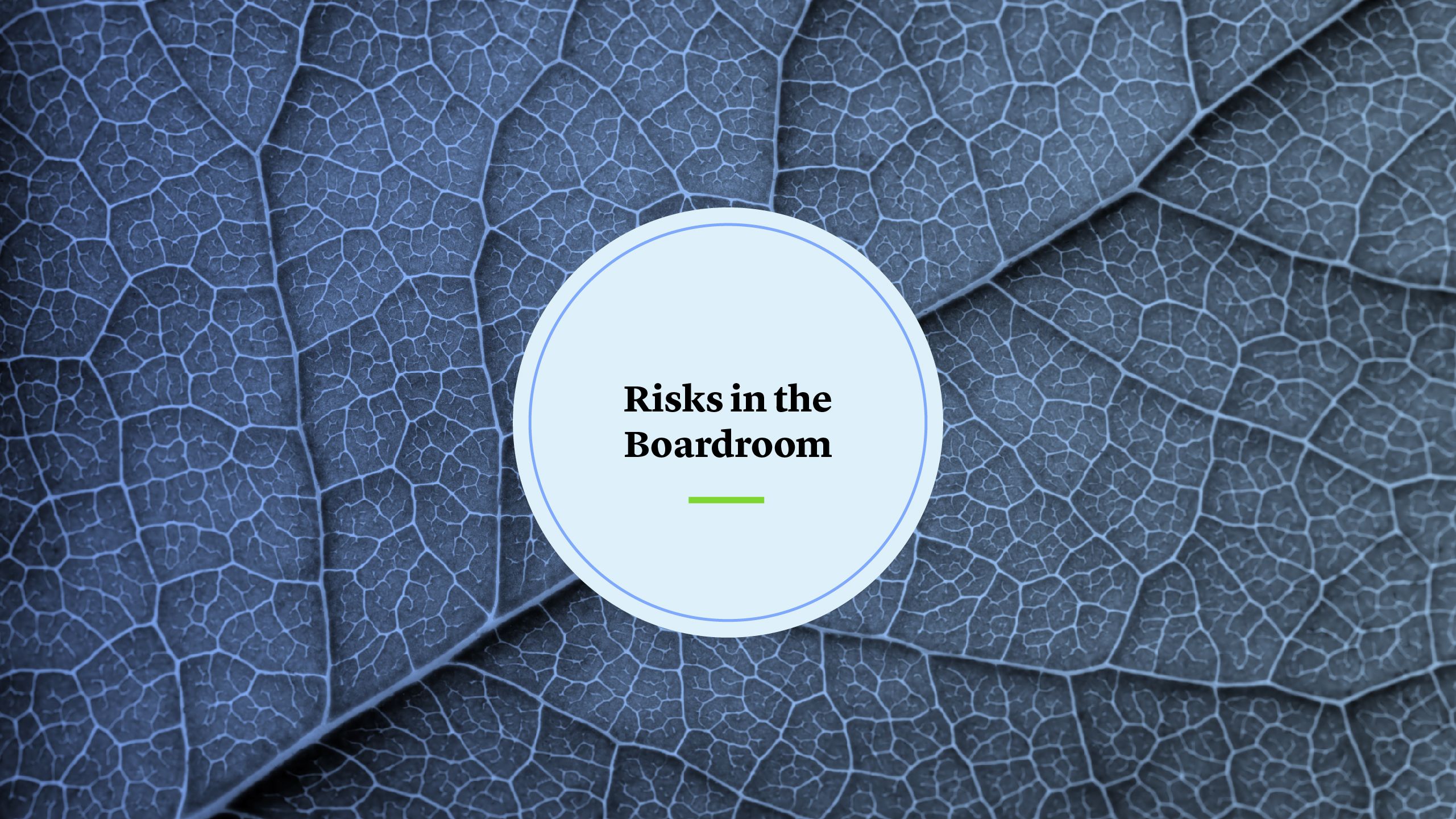 Risks in the Boardroom