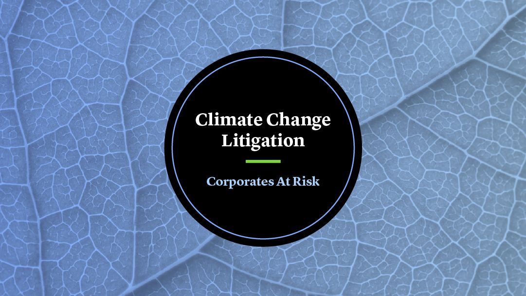 Cleary Gottlieb | Climate Change Litigation: Corporates At Risk