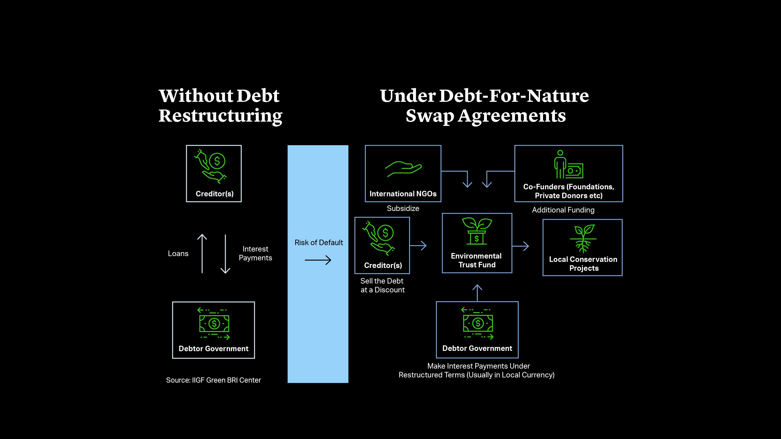 Under-Debt-For-Nature Swap Agreements