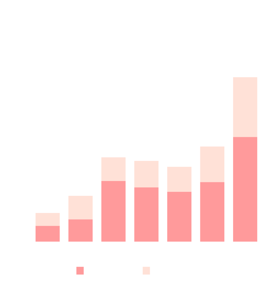 Suriname: Public Debt